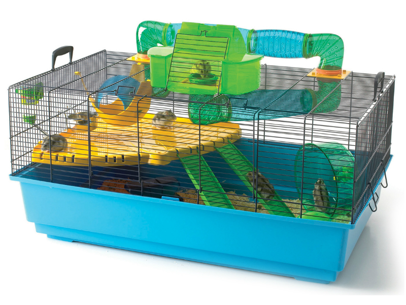 40 Cara Bikin Rumah Hamster Dari Kardus Terbaru Koleksi Gambar Rumah Terlengkap