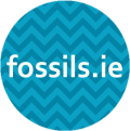 FOSSILS IRELAND