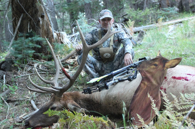 arizona elk hunting