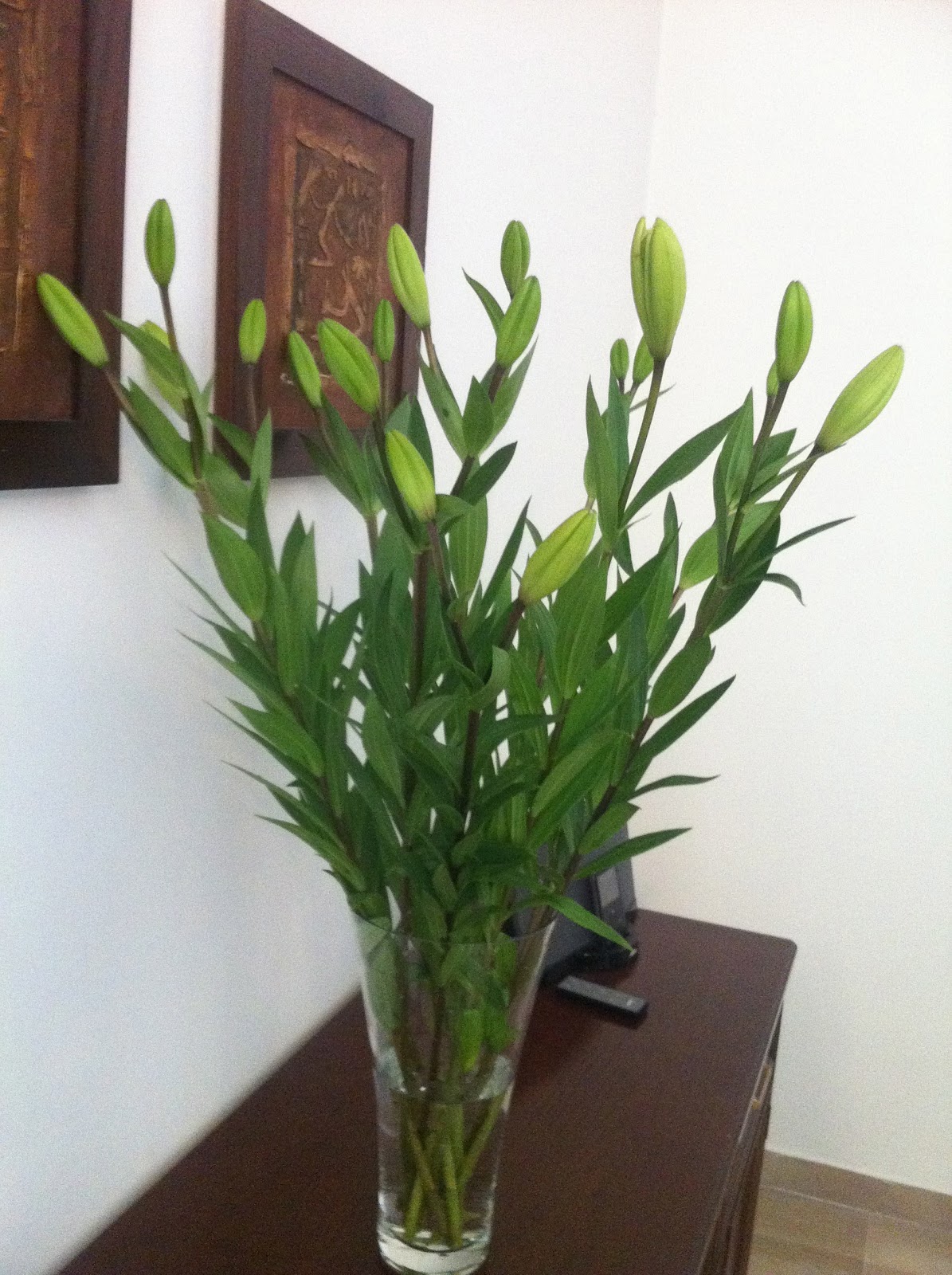 Bibs, Babs, Bobs in Amman A visit to the flower market in Amman