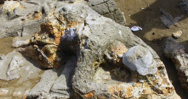 Ketahui Ringkasan Cerita Rakyat SANGKURIANG, Terbaru!