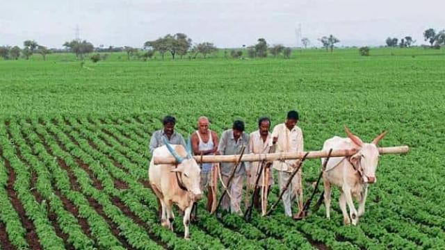 Method of Farming Method+of+Farming