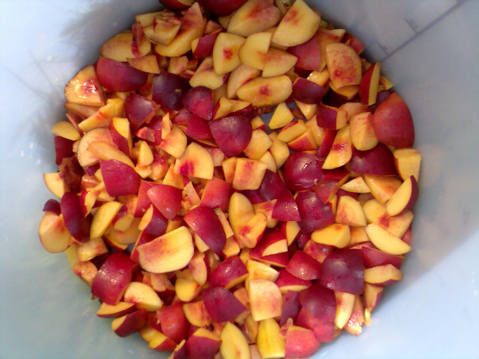 Ben's Adventures in Wine Making Nectarine Wine The Making Of...