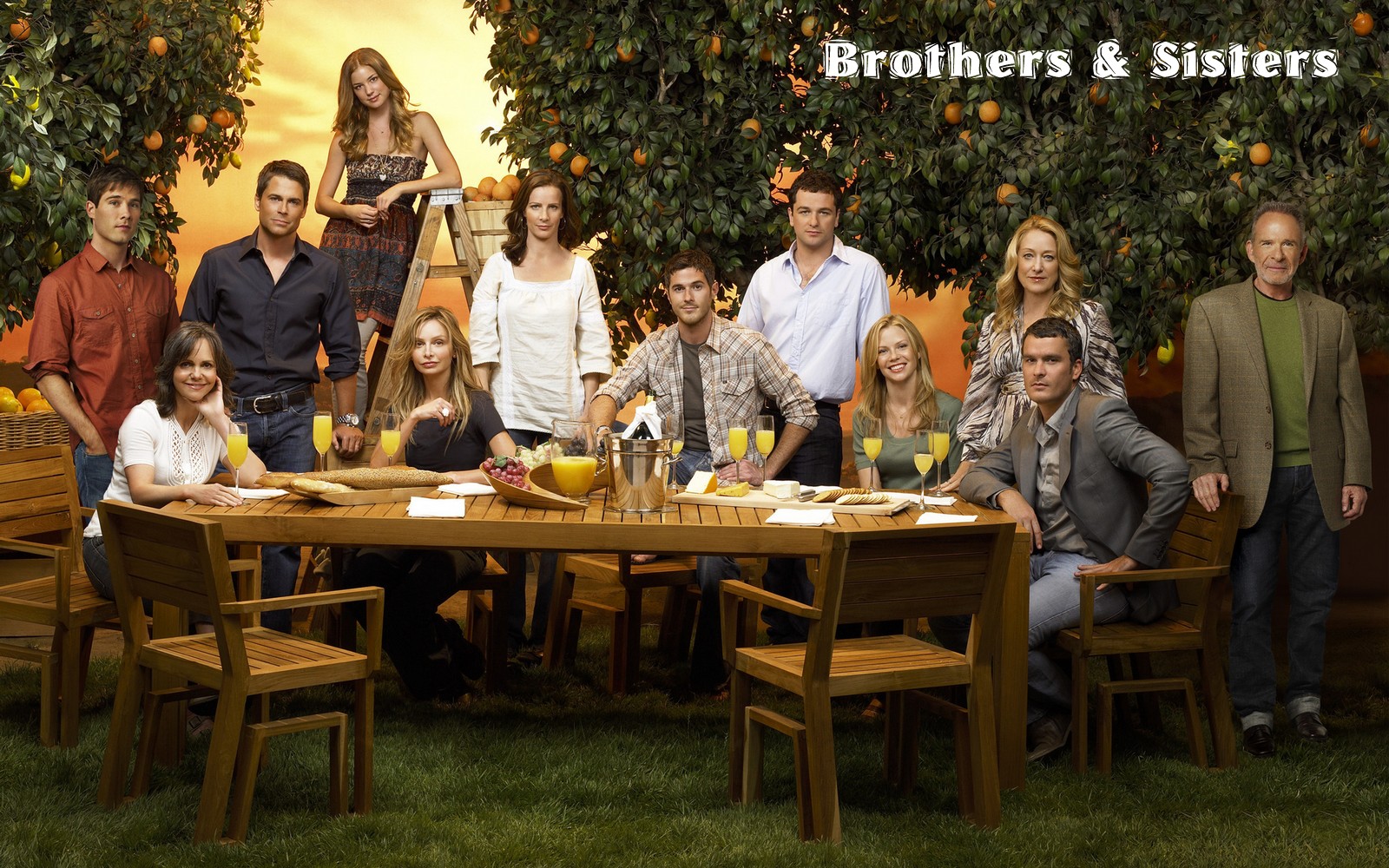 Filmovízia Brothers and Sisters [20062011]