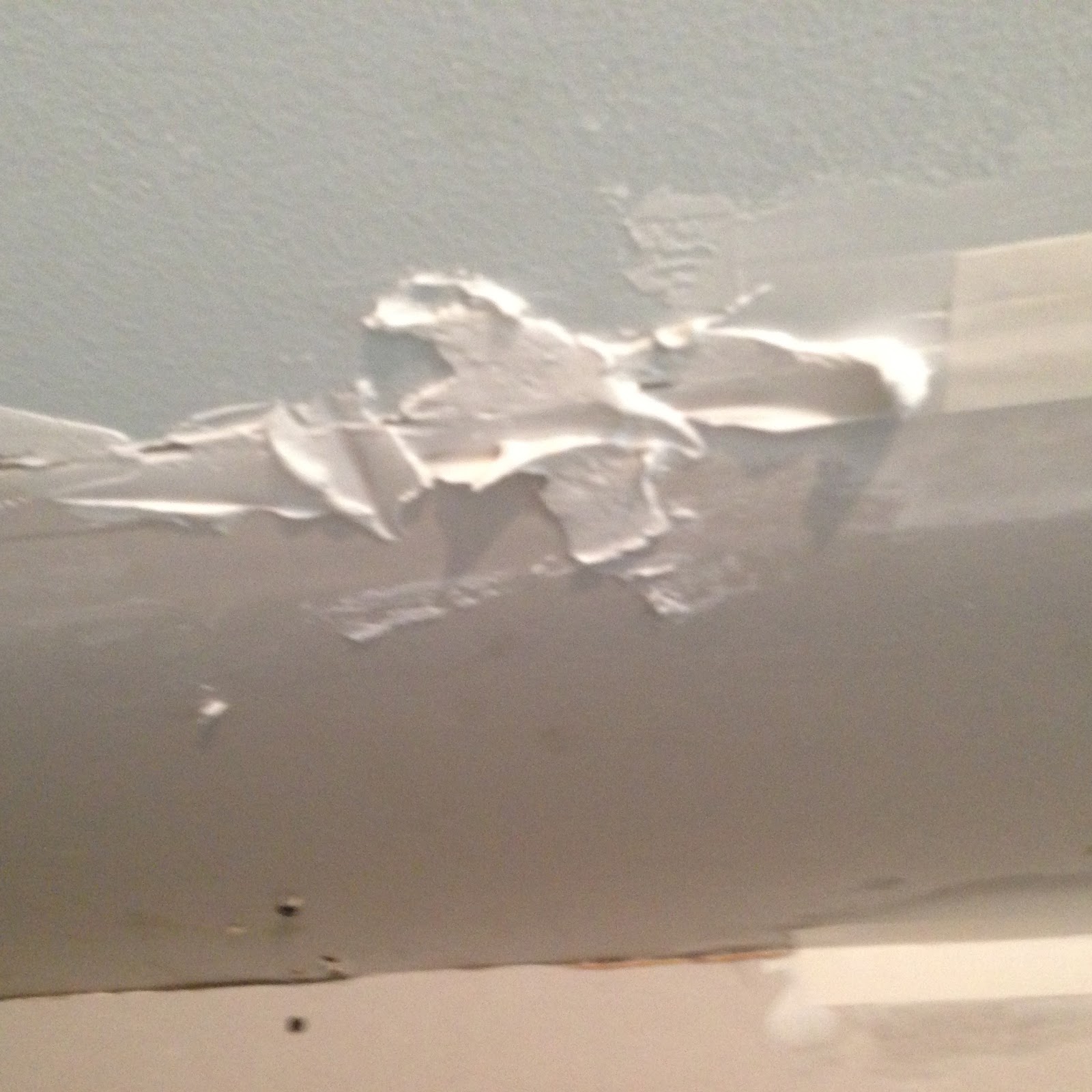 Big Plans, Little Budget Hear Me Roar How to Use Drywall Tape