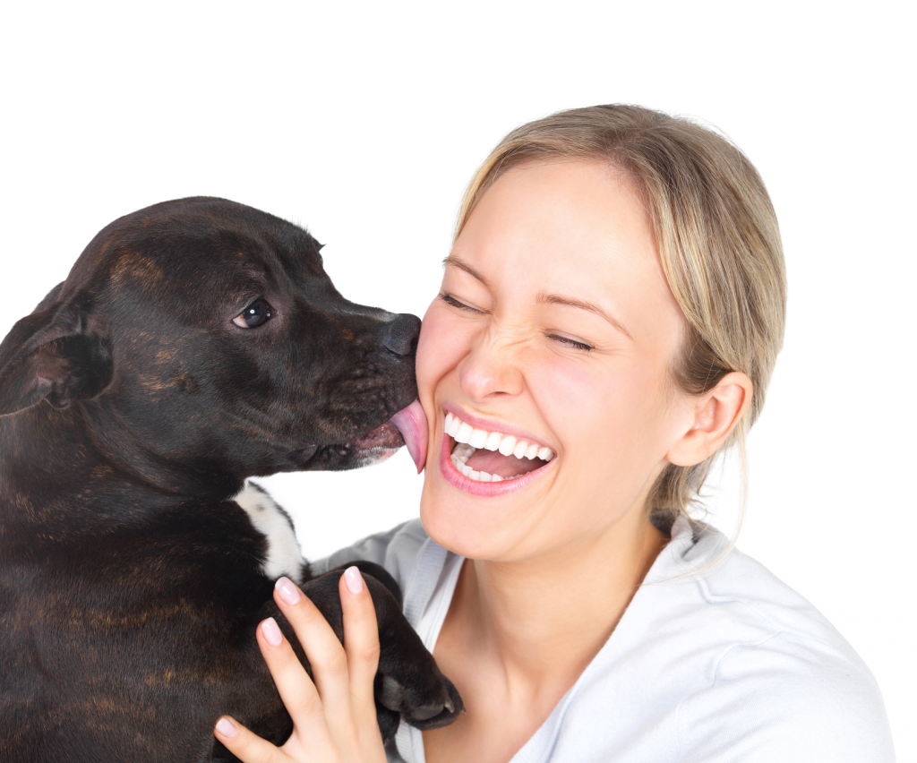 "BLOG DO QUINTAL":: Por que os cachorros lambem seus donos?