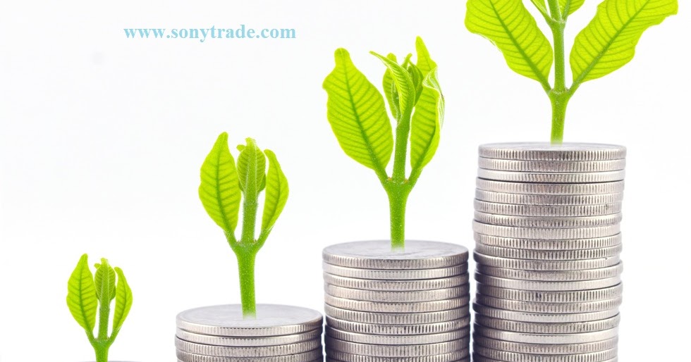 Berinvestasi forex