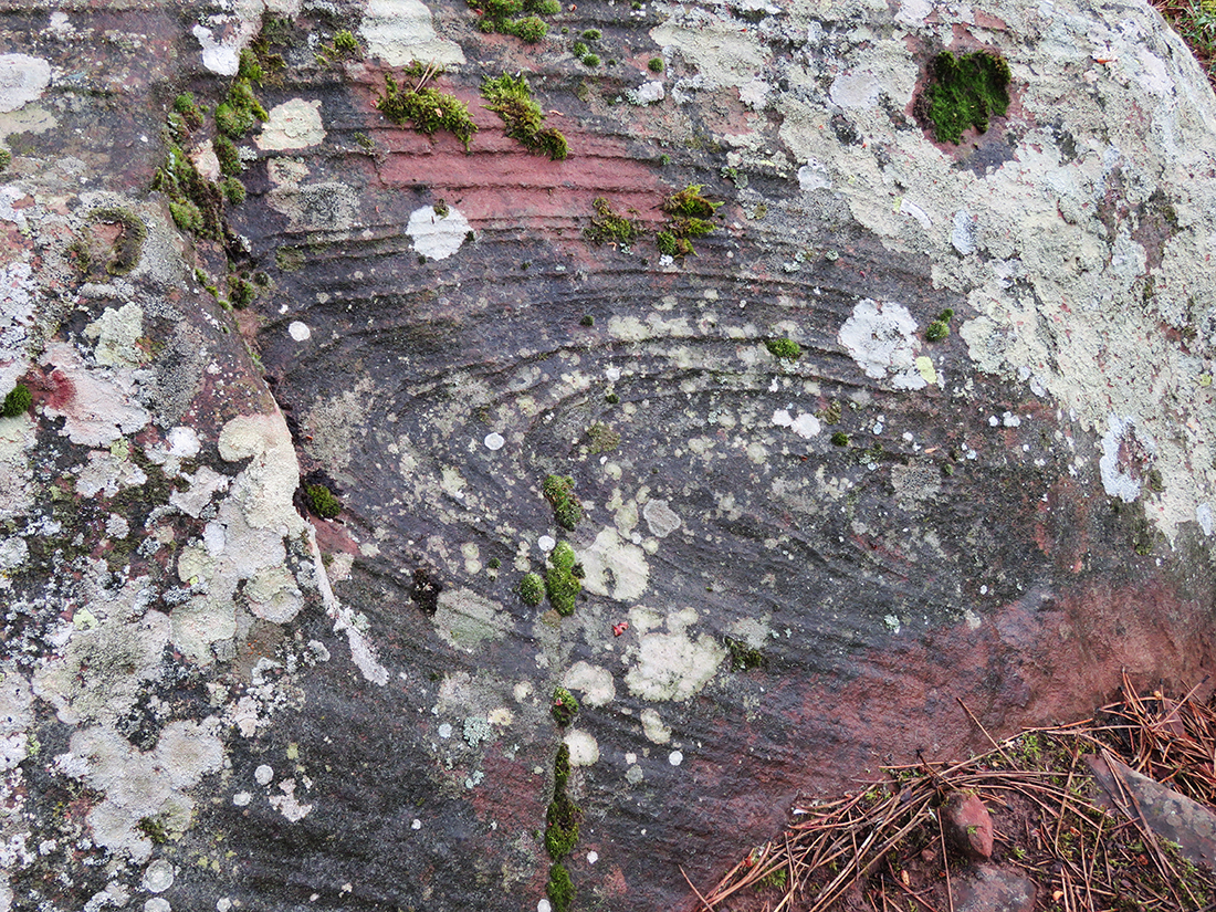 CURIOSIDADES CIENTÍFICAS Anillos de Liesegang (Liesegang rings)