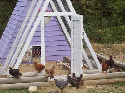 Chicken coop ideas uk Info ~ Build small chicken coop