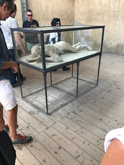 Pompeii - man frozen in time