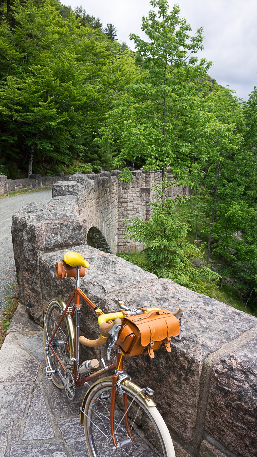 acadia bike tours