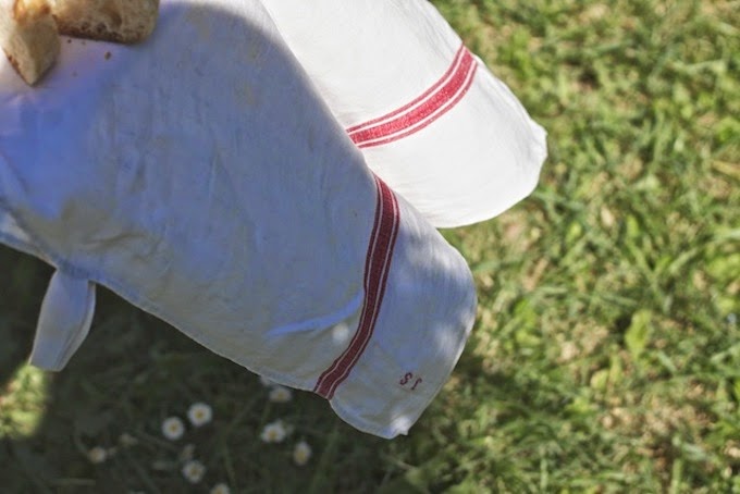 picnic en la provenza