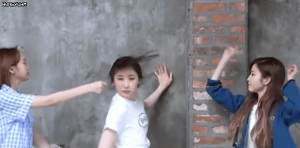 디스패치 팔로워 500만 기념