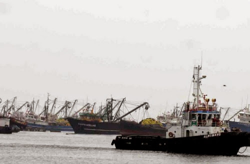 pesca artesanal