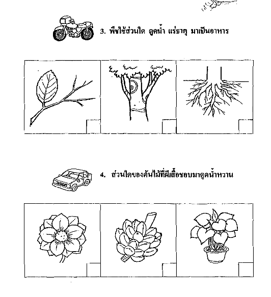 My Image 31