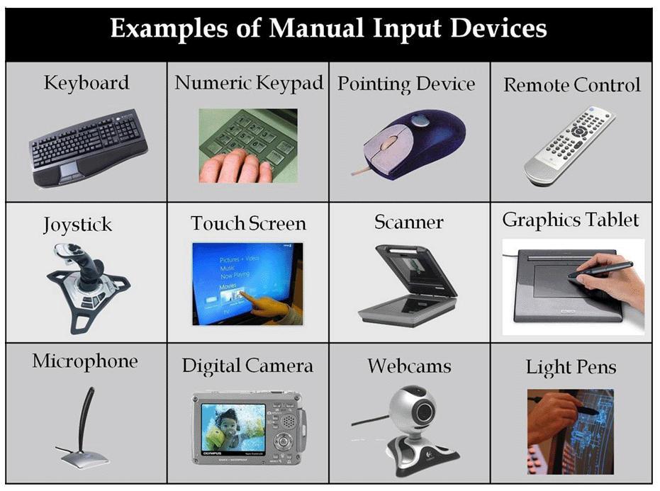 Examples Of Input Devices Input Devices Of Computer C - vrogue.co