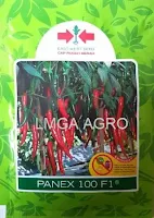 benih cabai merah besar, cabai panex, panex f1, panah merah, cabai panex 100 f1