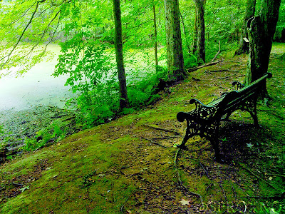 Closter Nature Center Trail Map Closter Nature Center Trail Map