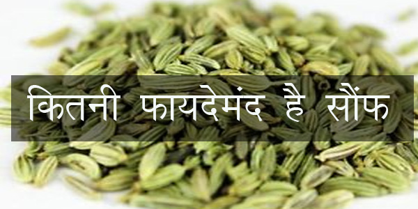 क्या आपको पता है सौंफ के औषधीय गुणों के बारे में, Medicinal properties of fennel क्या आपको पता है सौंफ के औषधीय गुणों के बारे में, Medicinal properties of fennel