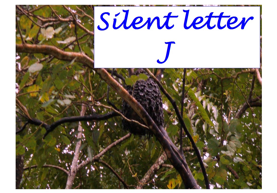 Silent Letter J | Silent Letters in English Words