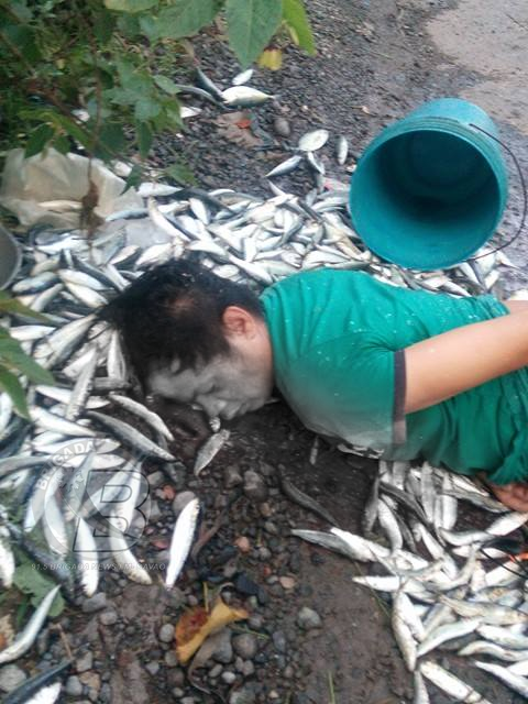 BREAKING NEWS: An Innocent Fisherman Was Affected By the Clash Between the AFP and the NPA in Davao! BREAKING NEWS: An Innocent Fisherman Was Affected By the Clash Between the AFP and the NPA in Davao!