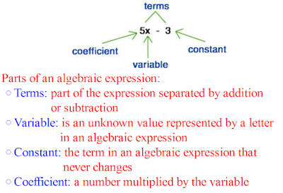 translate algebraic expressions