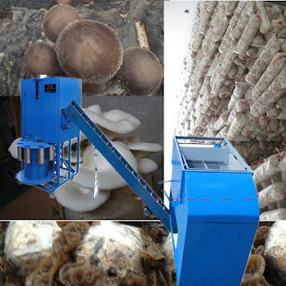 http://www.oystermachinery.com/product_fungusgrowingproductionequipment.html