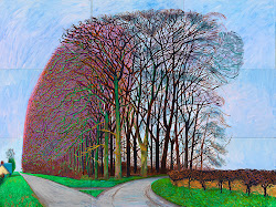 hockney david pop 1937 painter most