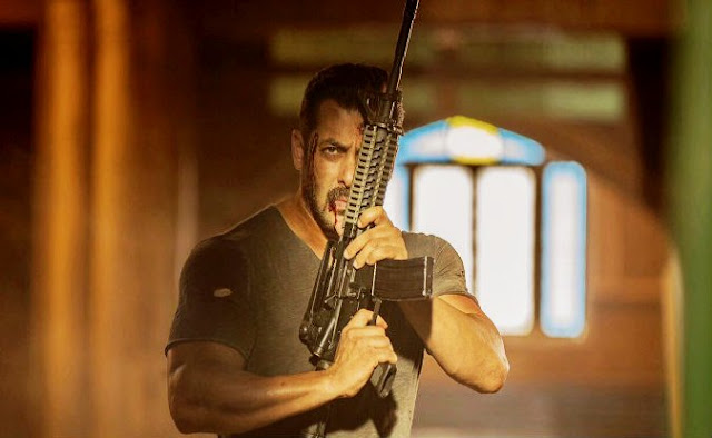 Tiger Zinda Hai, Salman Khan