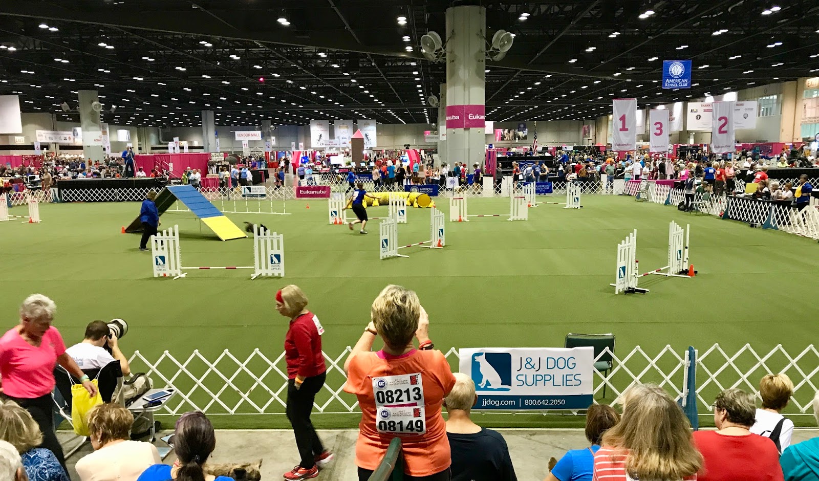 Akc Agility Ring Size Akc Agility Ring Size