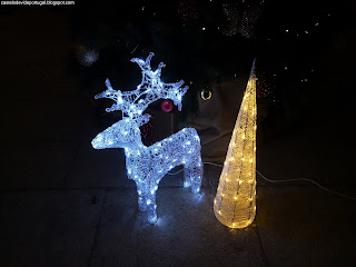 EVENTS / Fotografias Gerais de Natal, Castelo de Vide, Portugal