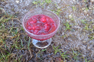 Cranberry-Kompott mit Ingwer und Vanille