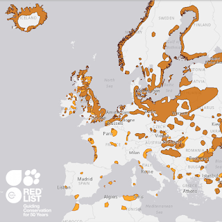 Distribución del ánsar común (Anser anser).