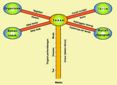 Faktor-Faktor Pembentukan Tanah