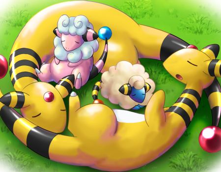 Image result for mareep
