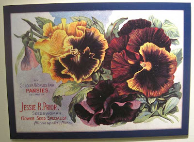 Litho of dark and yellow pansies