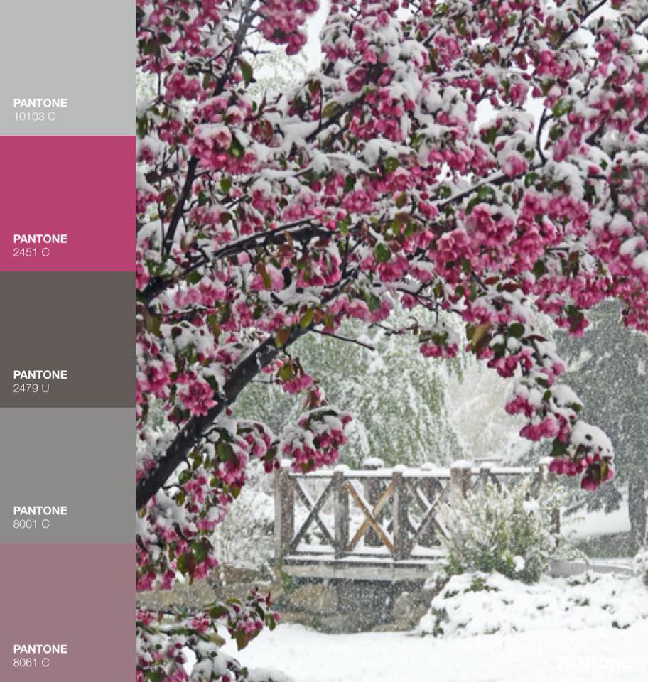 Reto enero Colores Pantone Locas por el Scrap