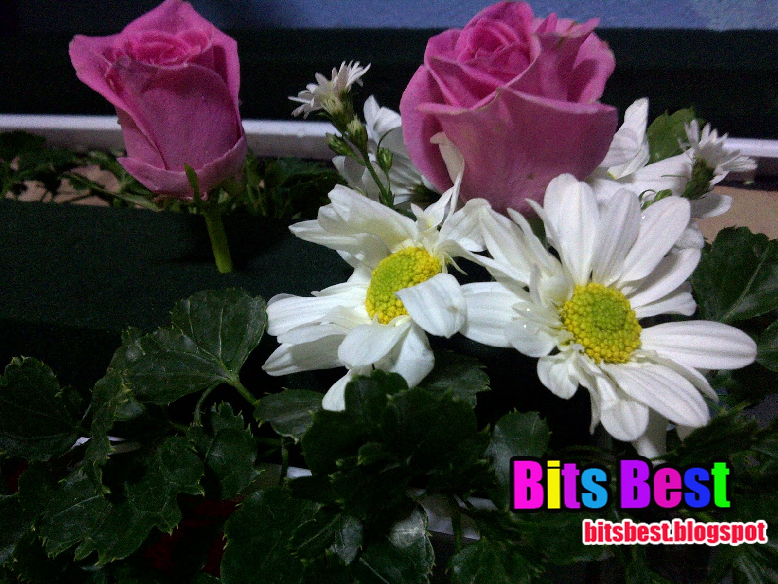 Bits Best: November 2011