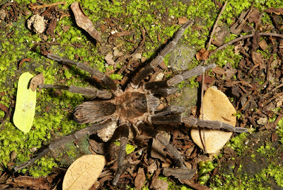 biodiversity Nicaragua