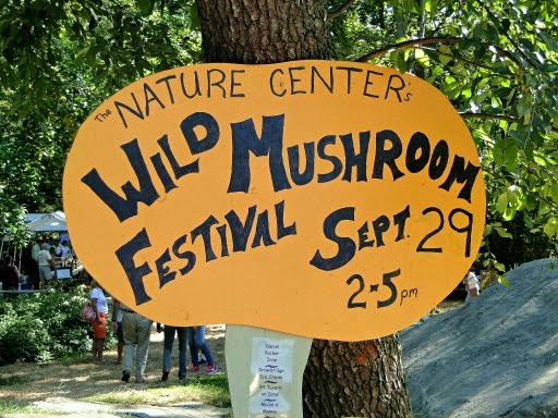Wild Mushroom Festival Sign at Nature Center Mystic CT - New England Fall Events