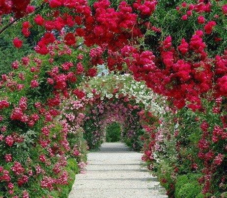 O Túnel em Flores