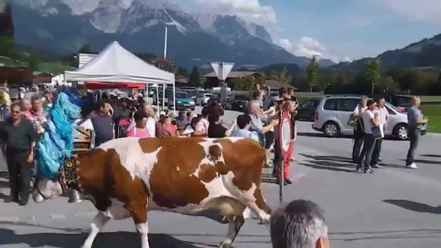 Skiwelt Aktuell Winter Pdf Free Download