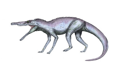Chanaresuchus