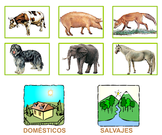 http://primerodecarlos.com/SEGUNDO_PRIMARIA/noviembre/Unidad_4/actividades/cono_unidad4/mamiferos5_domesticos_salvajes.swf