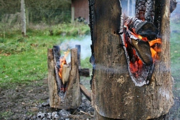 Purist design furniture made of wood