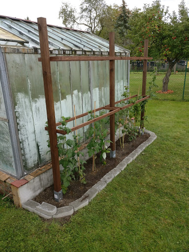 Garten Haus Und Gartenhaus 2017