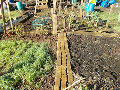 The 80 Minute Allotment Getting the vegetable garden ready for spring Green Fingered Blog