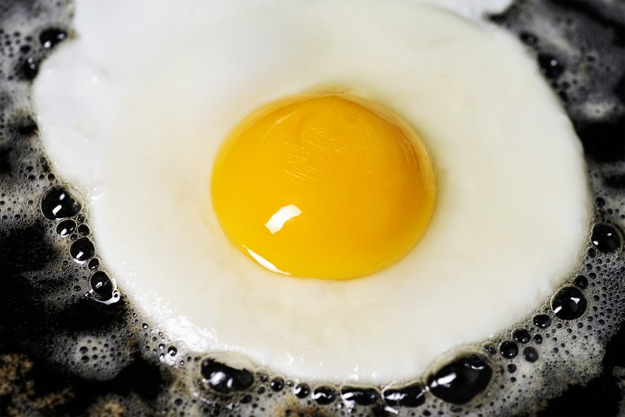 Manfaat Dan Fungsi Telur Untuk Kesehatan
