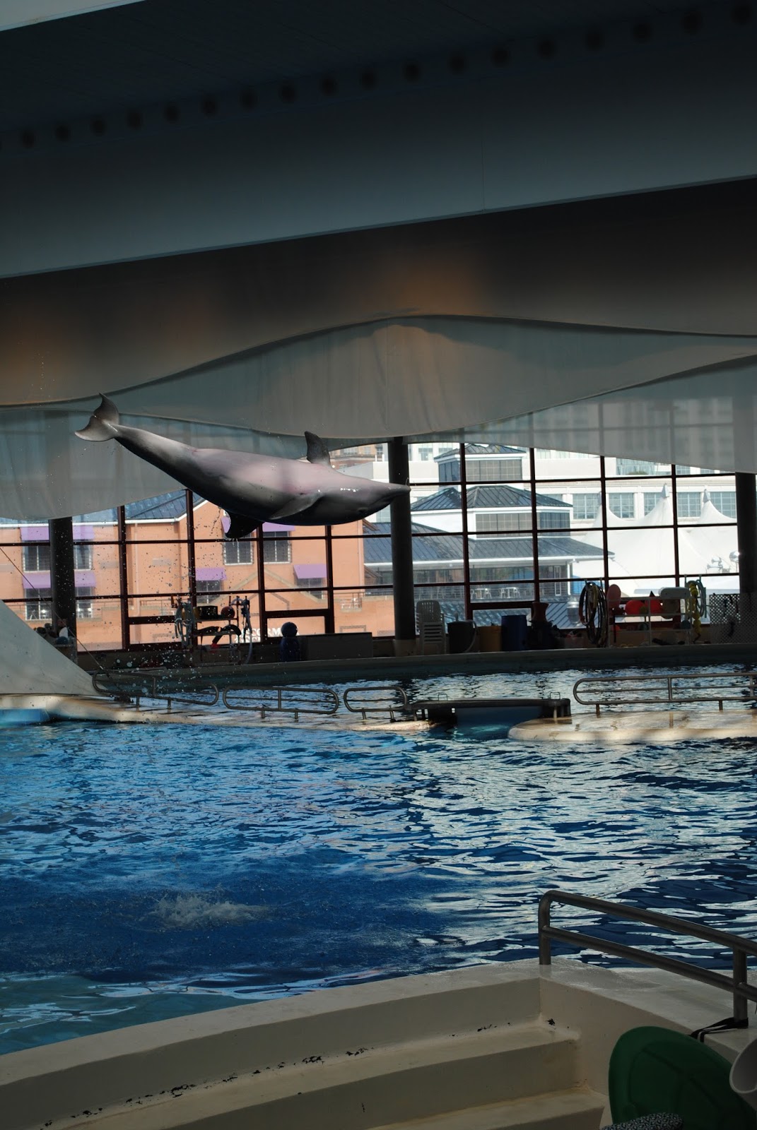 Traveling 2013 Baltimore Aquarium