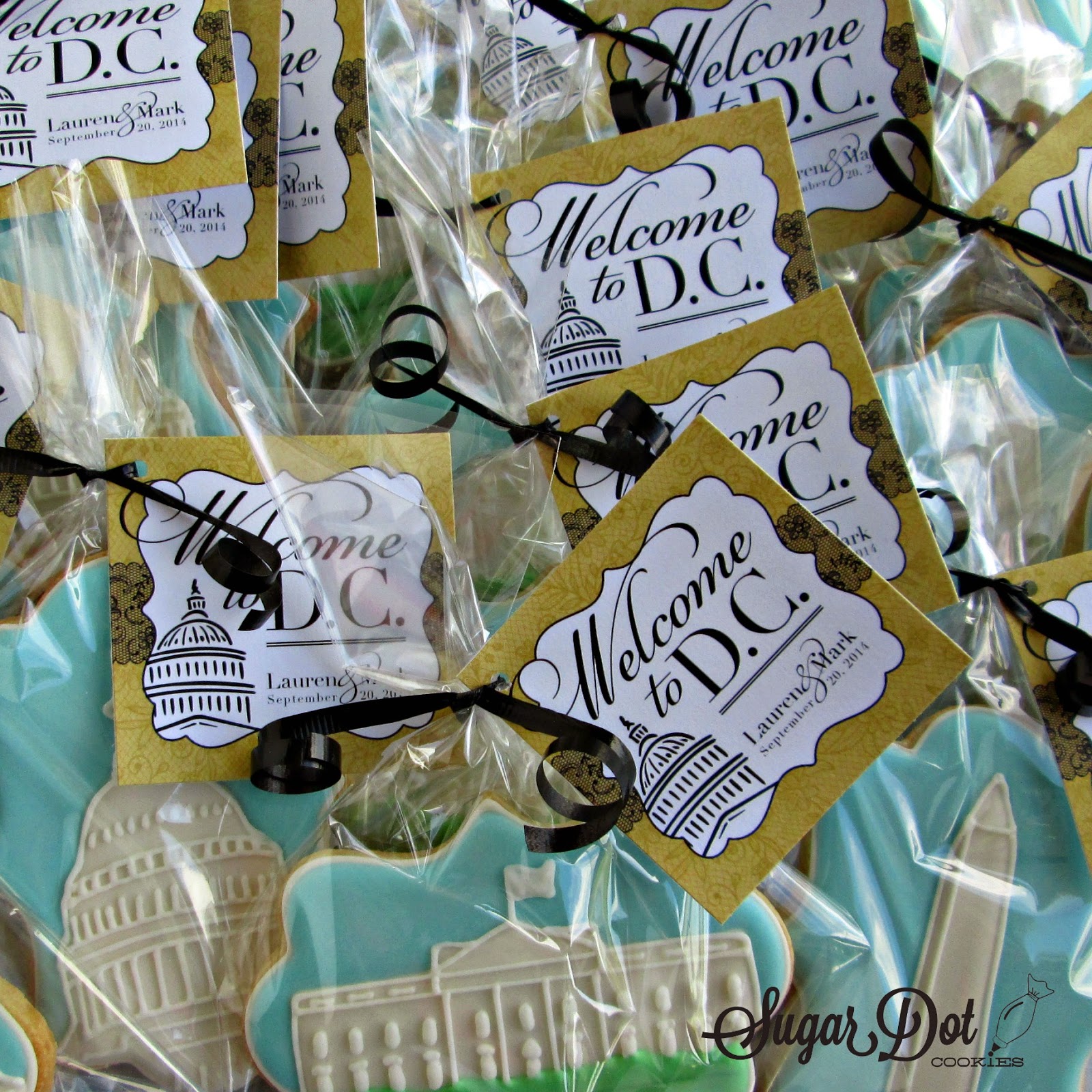 You can see the White House, Capitol, and Washington Monument. I also